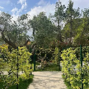 Lavalehouse Casa vacanze